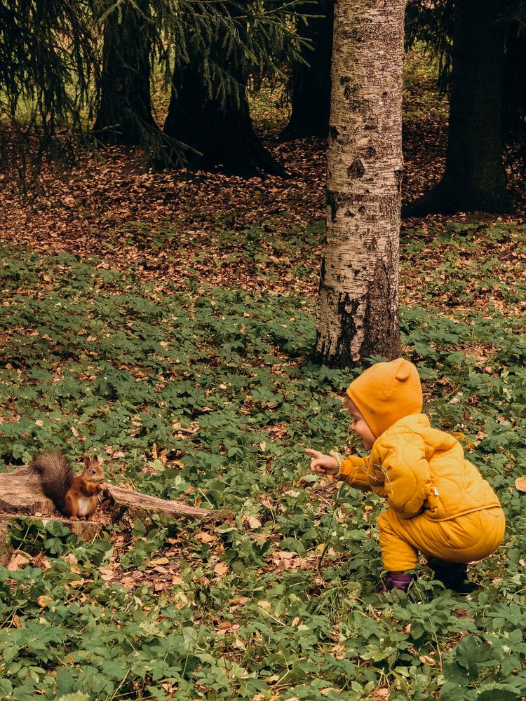 Фотография автора Анна Ворончихина