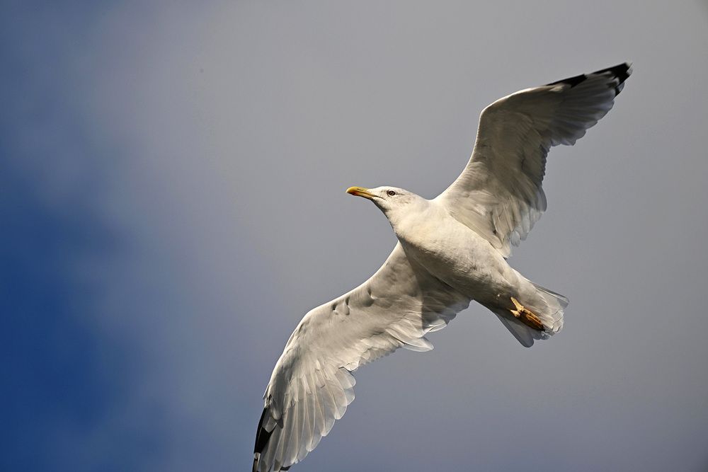 Photograph by Дмитрий Ткаченко