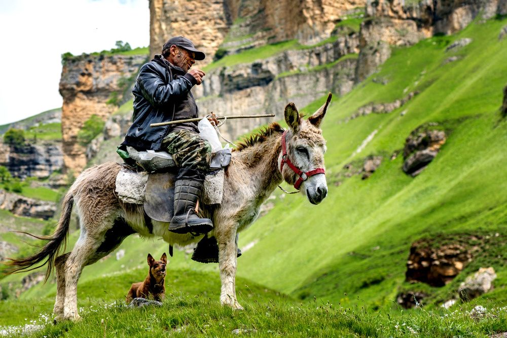 Фотография автора Ахмат Байсиев
