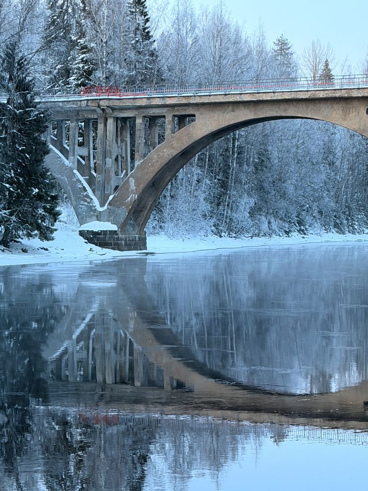 Фотография автора Александра Зимина