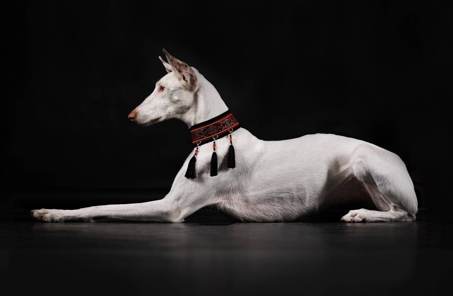 Photo #13259090
