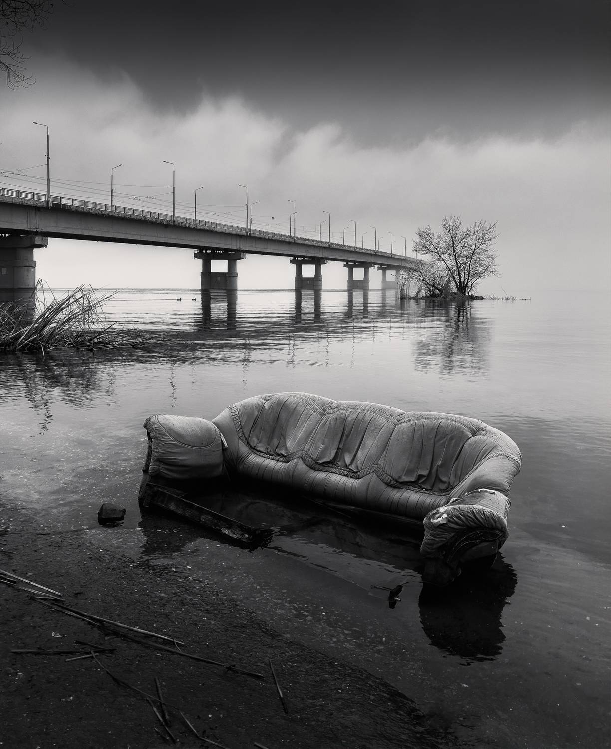 Фотография #13259122