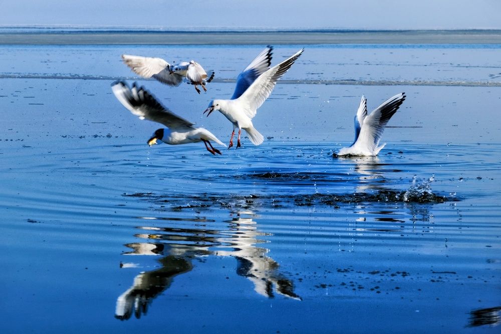 Photograph by Юлия Фёдорова