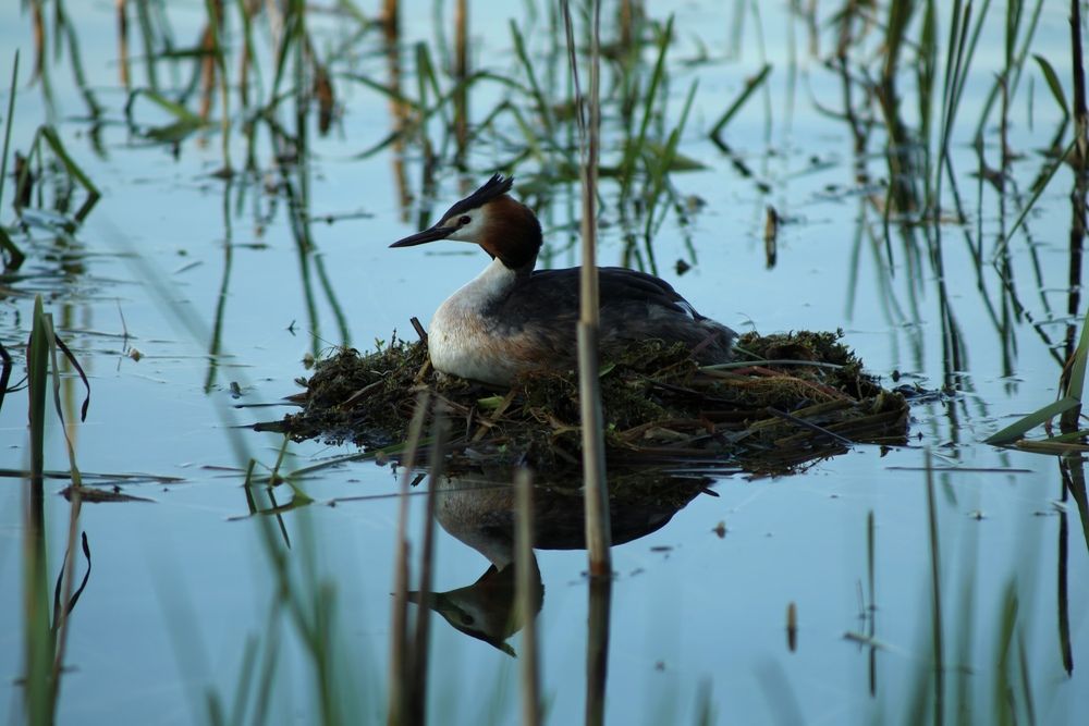 Photograph by Ольга
