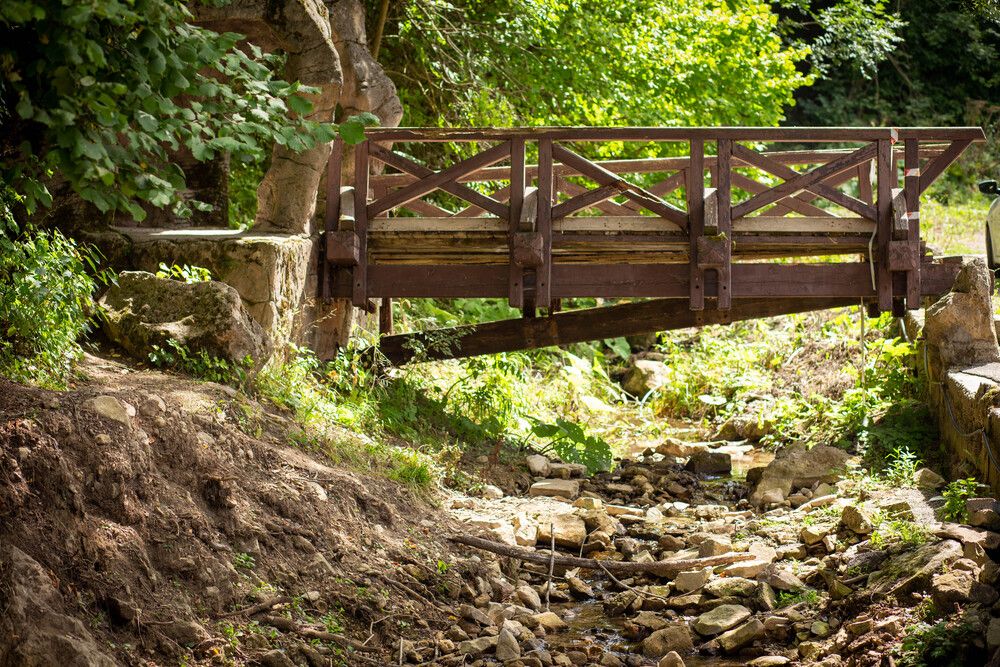 Photograph by Ольга Захарова