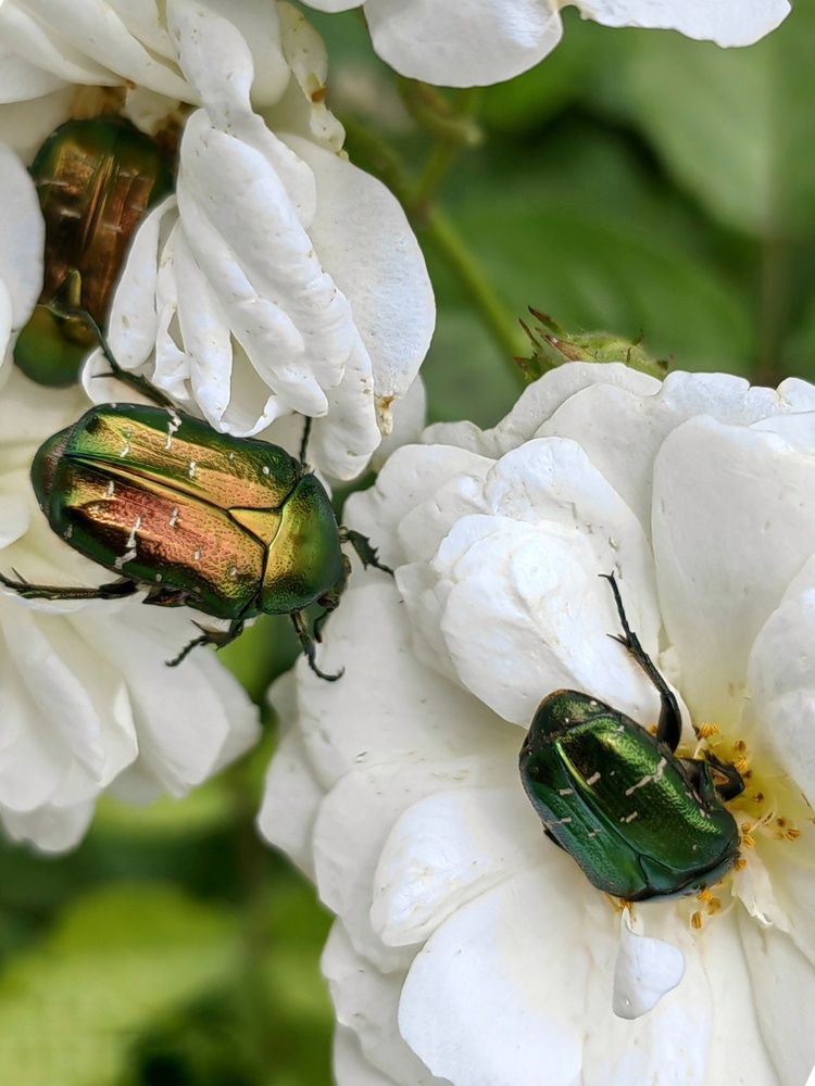 Photograph by Ульяна Кузьмина