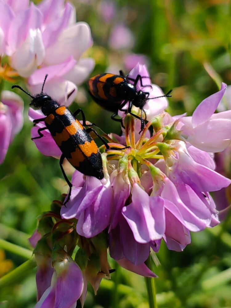 Photograph by Ульяна Кузьмина