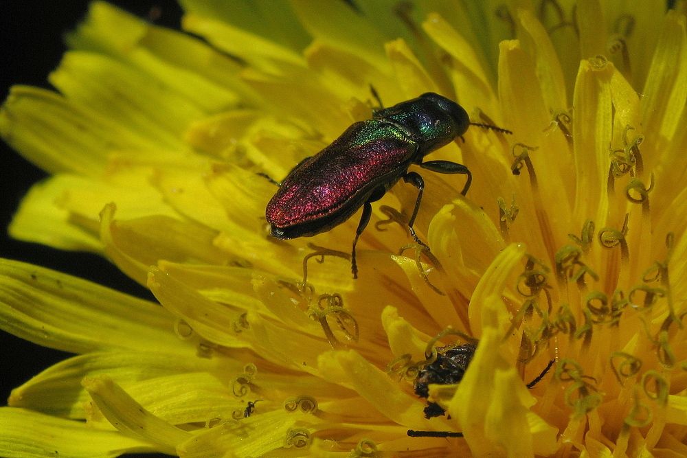 Фотография автора Александр Челмодеев