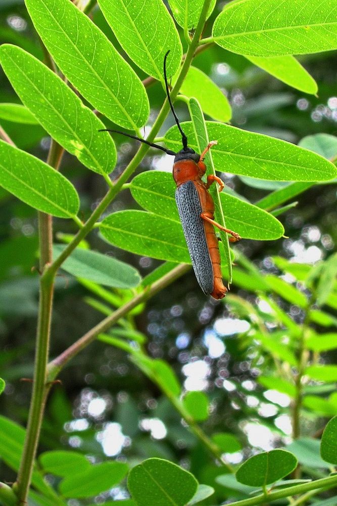 Фотография автора Александр Челмодеев