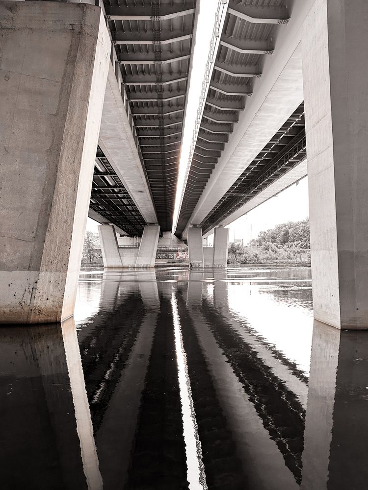 Фотография автора Александра Зимина