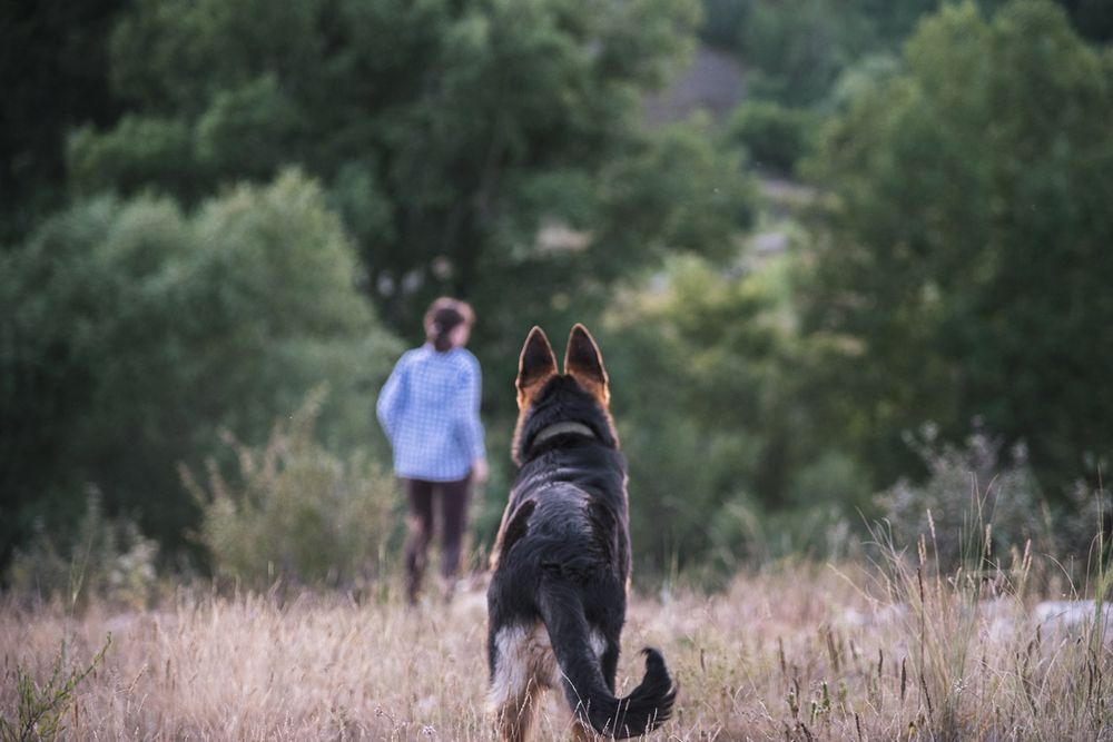 Photograph by Ирина Яук