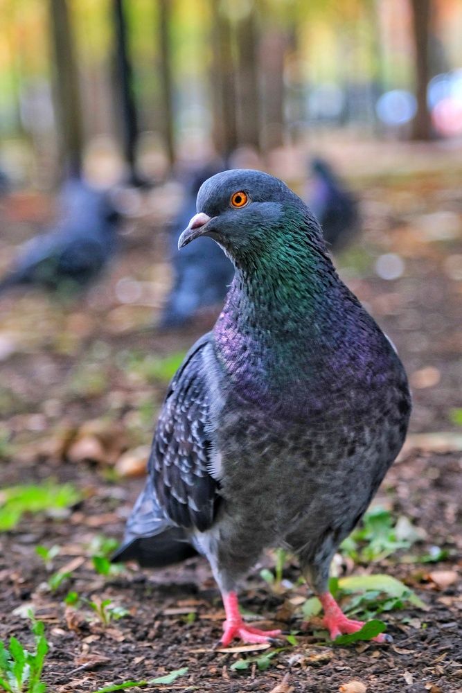 Photograph by Юлия Фёдорова