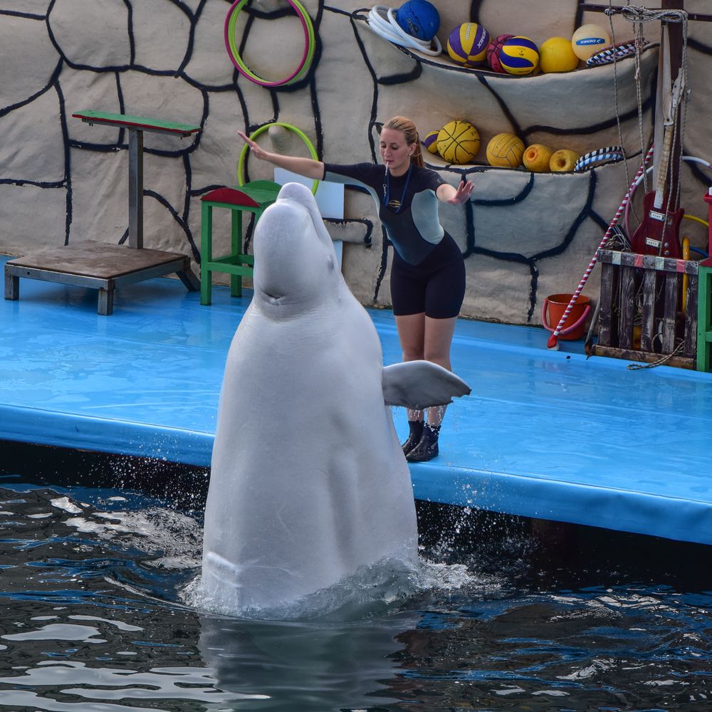 Фотография автора Tarasov Alexander