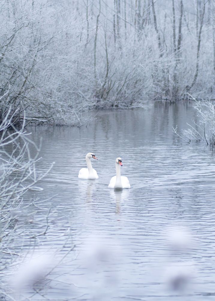 Photograph by Катерина Карлович