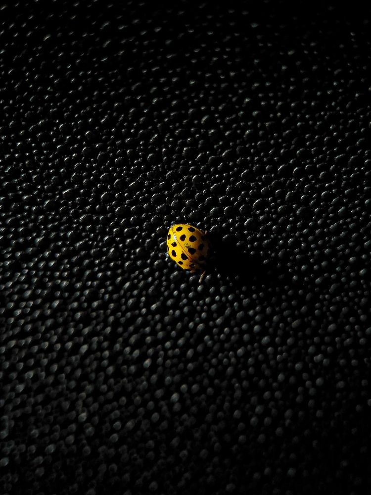 Photograph by Алиса Исаева