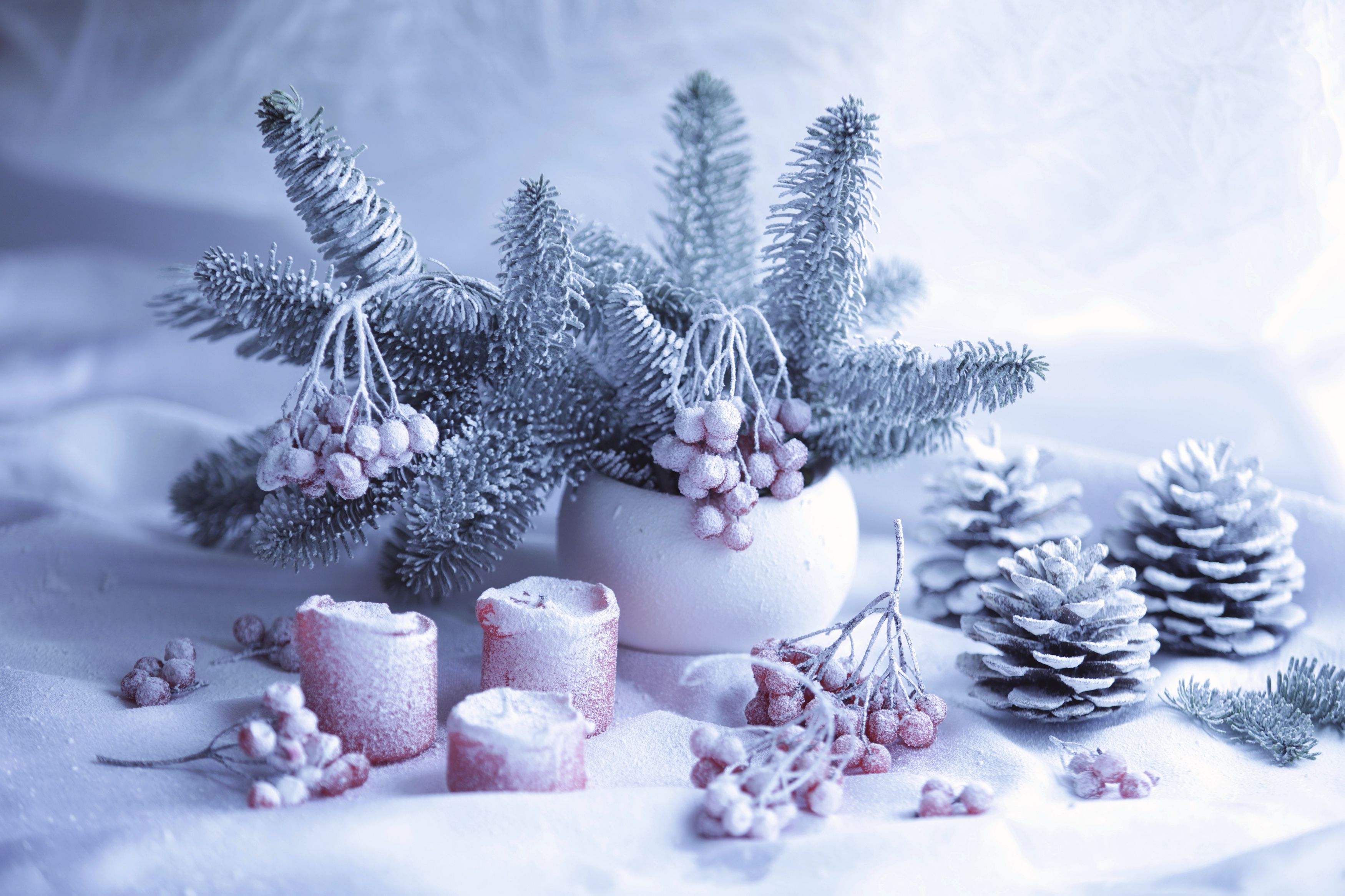 Photograph by Ольга