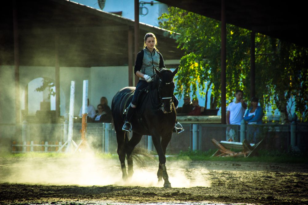 Photograph by Сергей Плотников