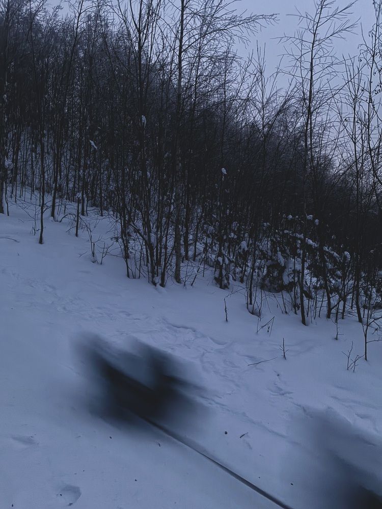 Photograph by Алина Павлова