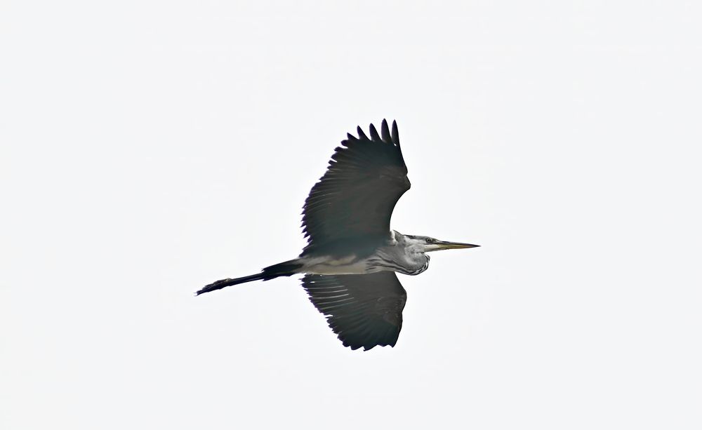 Photograph by Катерина Карлович