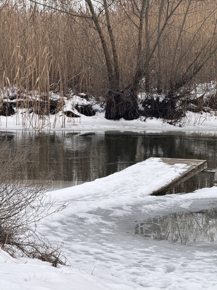 Photograph by Татьяна