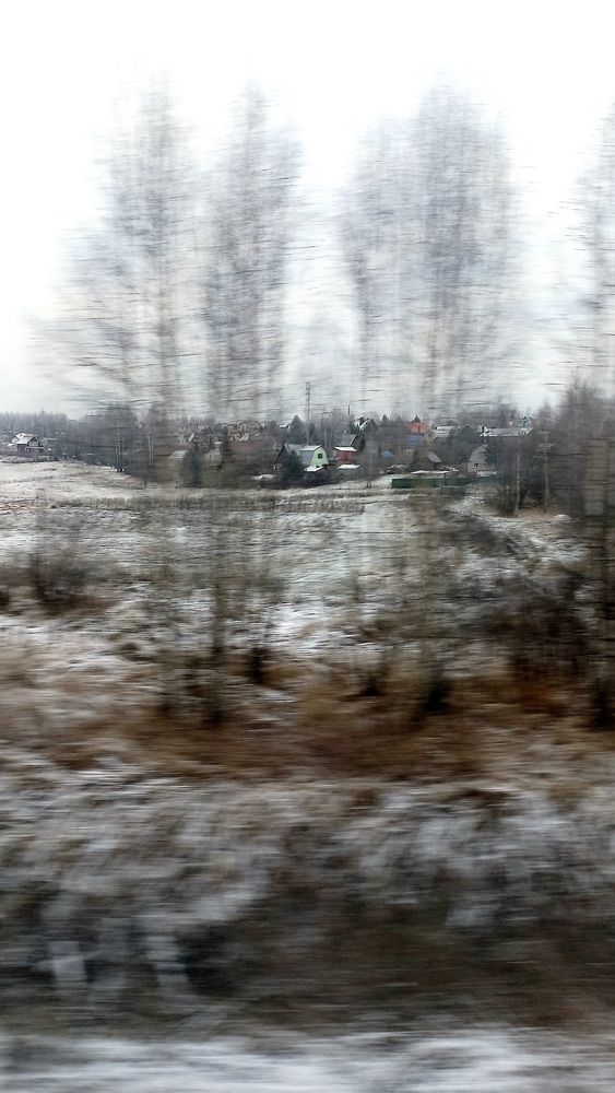 Photograph by Елена Луговая