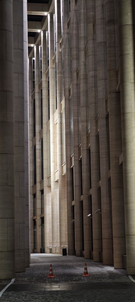 Photo #13259536