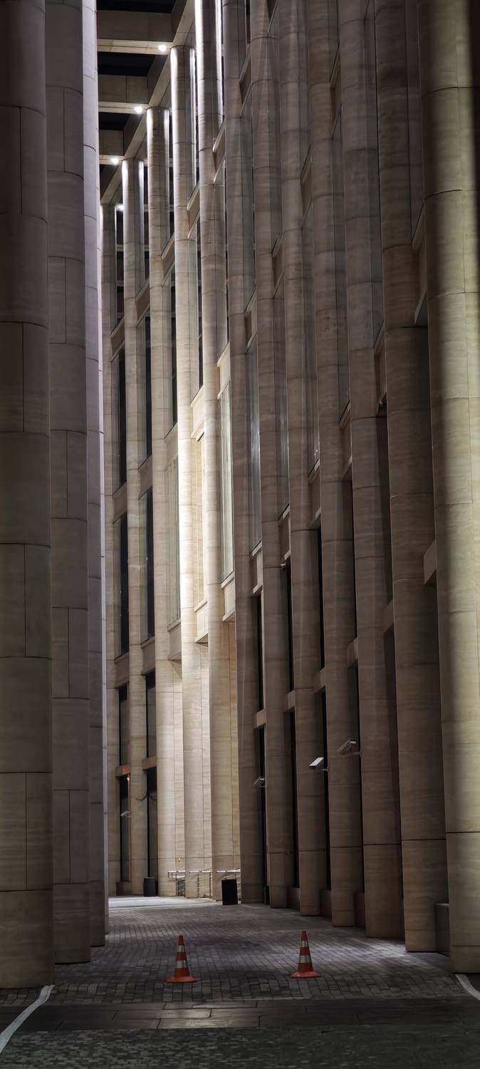 Photo #13259536