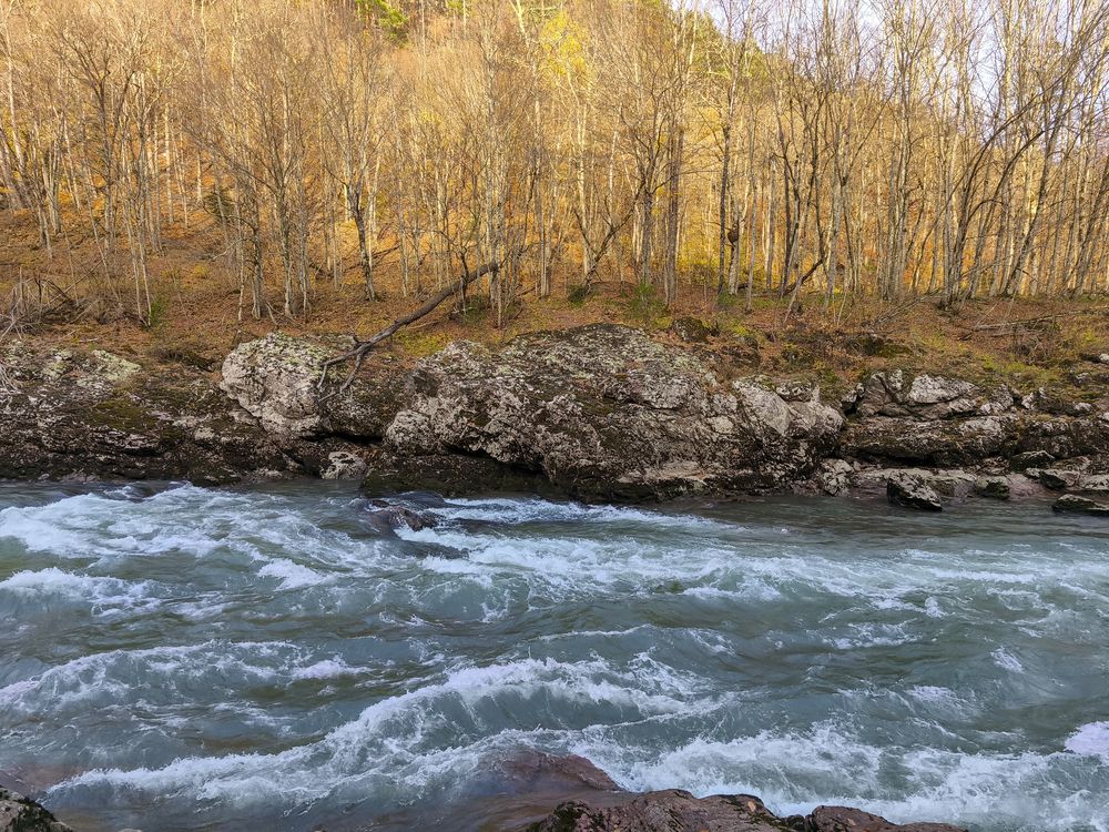 Photograph by Татьяна Петренко
