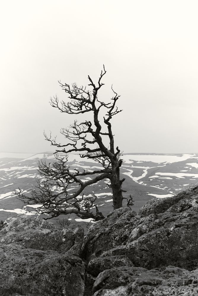 Photograph by Camilla Burkhanova