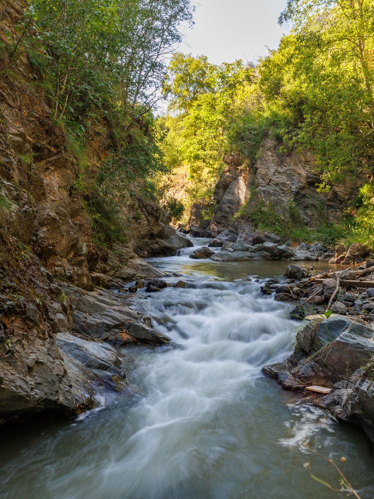 Фотография автора Igor Maksimenko