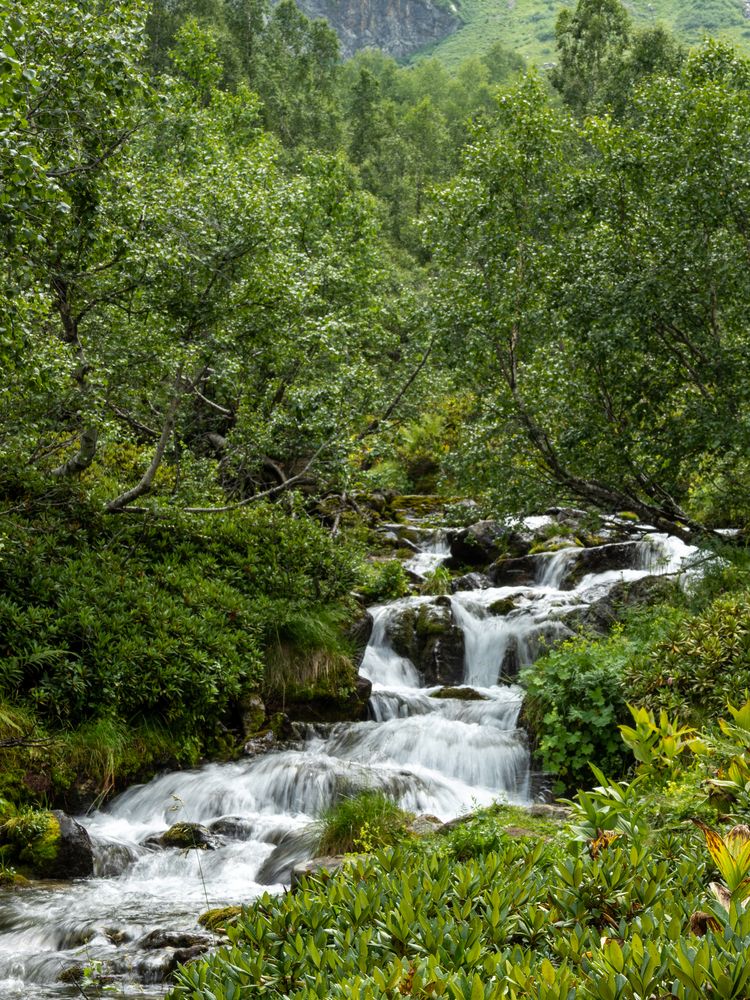 Фотография автора Igor Maksimenko