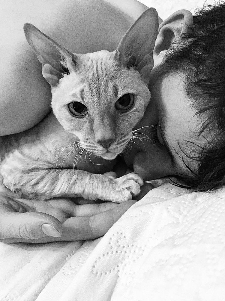 Photograph by Светлана Станевич