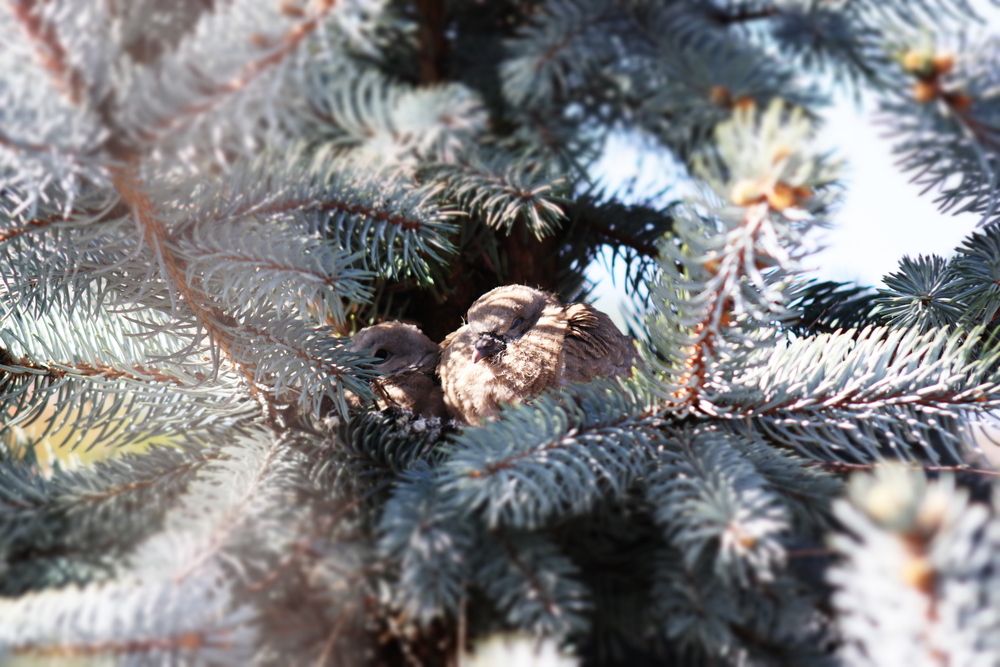 Photograph by Anna Gancheva