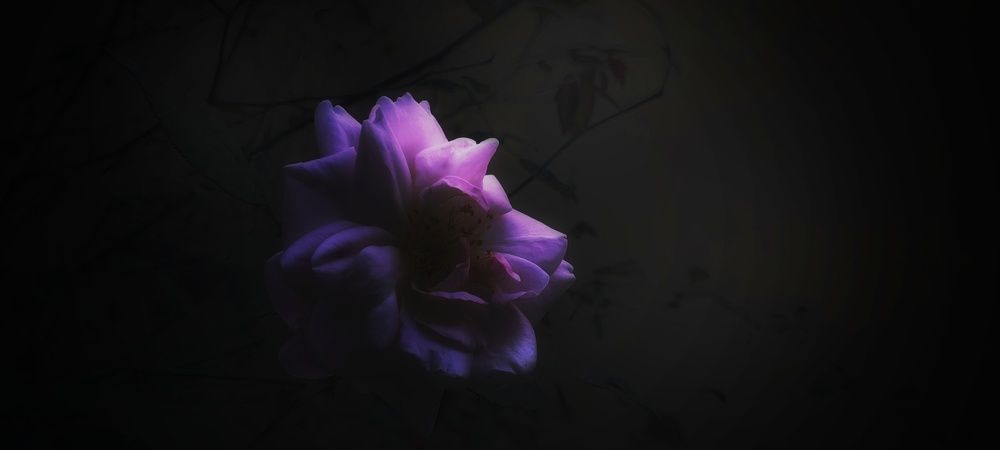 \"Blooming in Blessings\"
