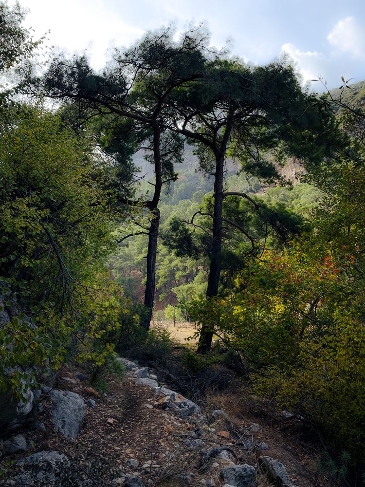 Photograph by Elizabeth Barkovskaya
