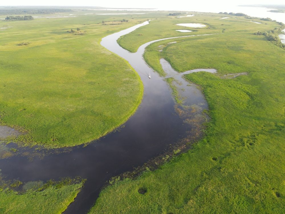 Photograph by Александр Лис