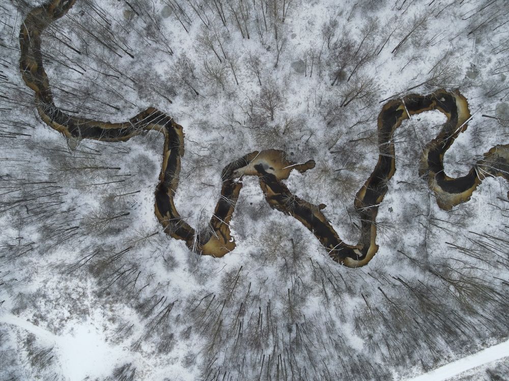 Photograph by Александр Лис