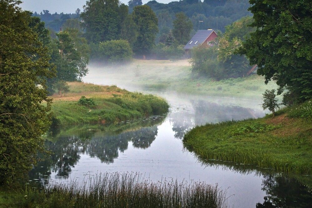 Фотография автора Janis Serdienis