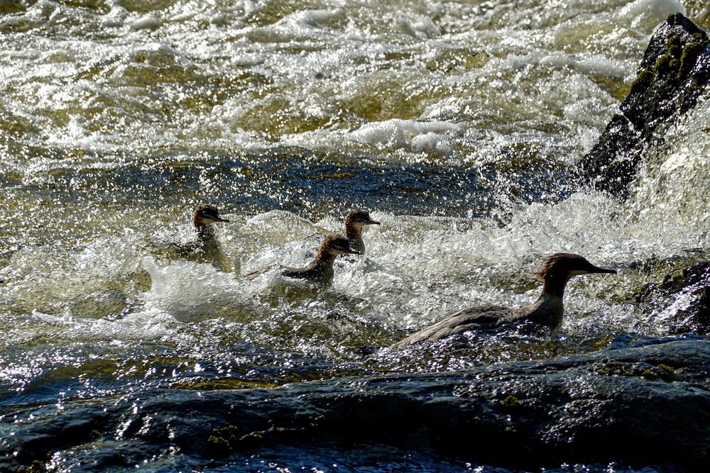 Photograph by Светлана Каравайская