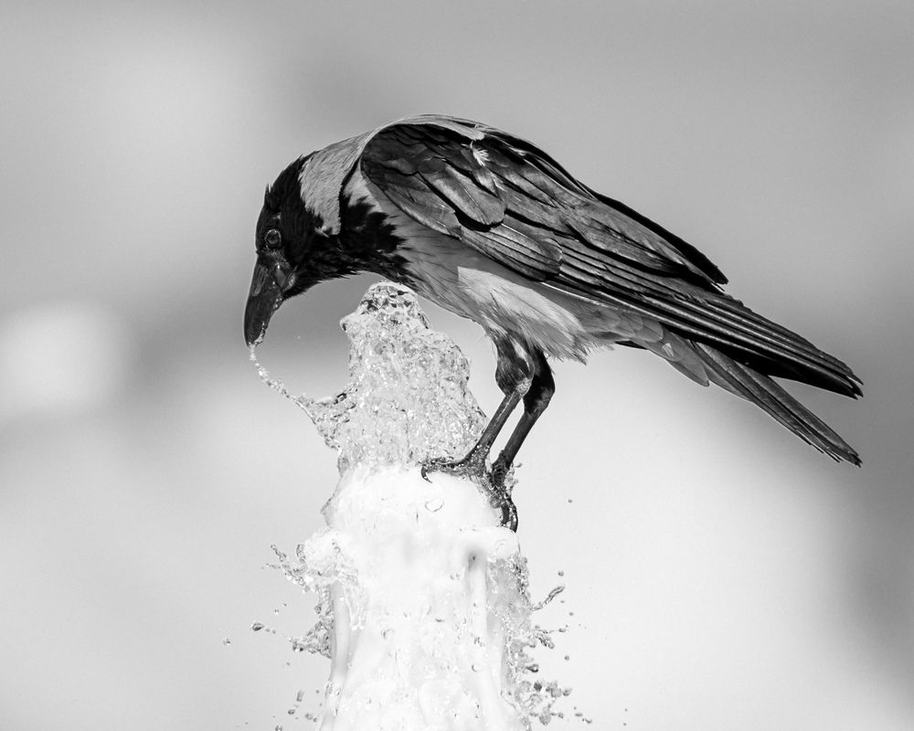 Photograph by Bekir istemi