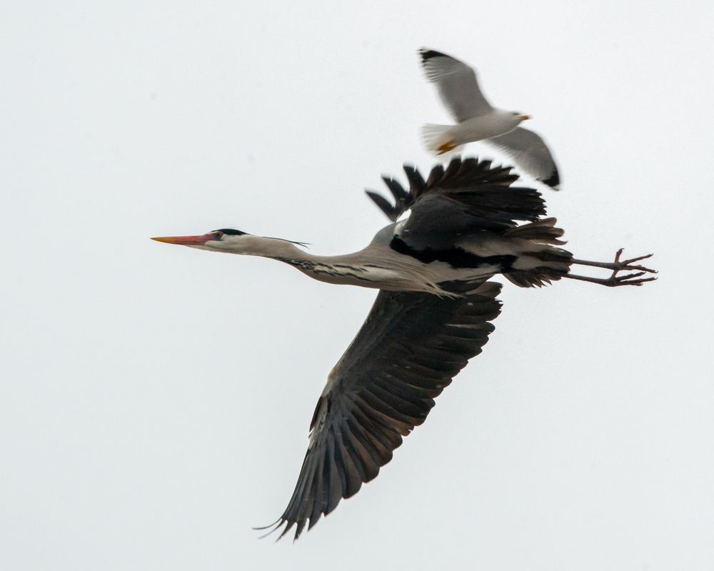 Photograph by Bekir istemi