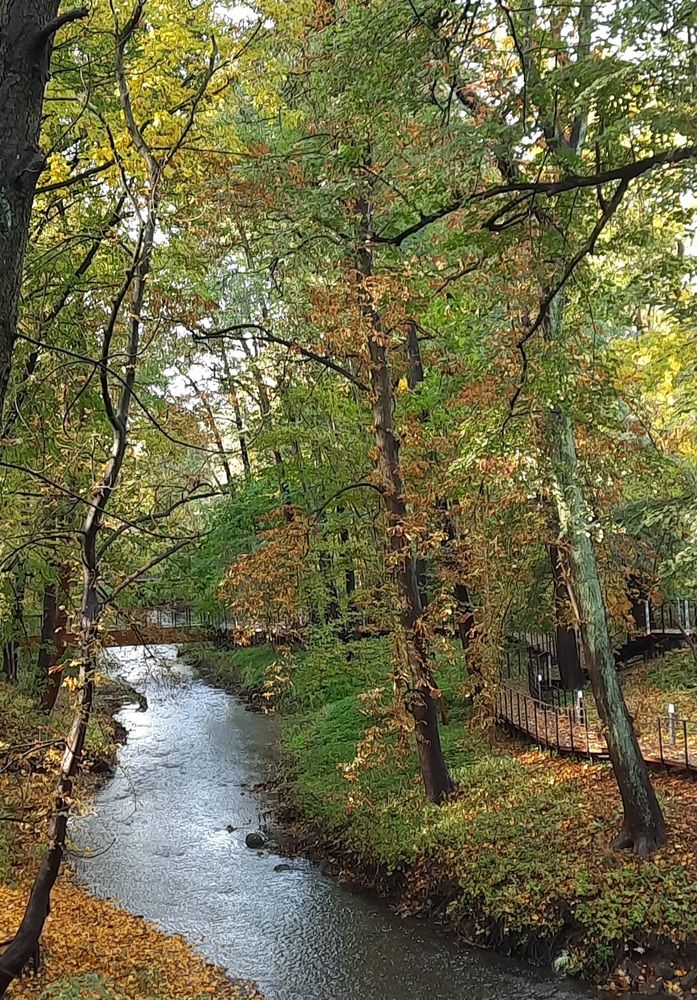 Photograph by Наталья Ткаченко