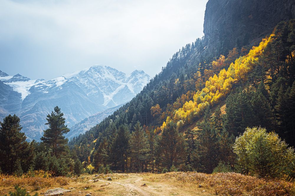Photograph by Алексей Гудвин