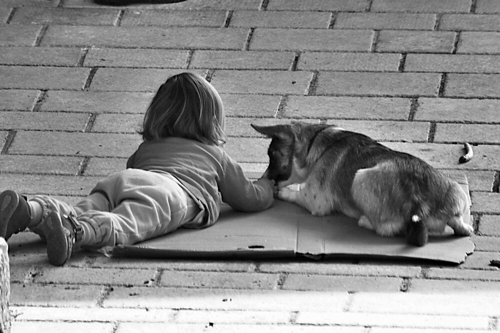 Photograph by Damir Gržin