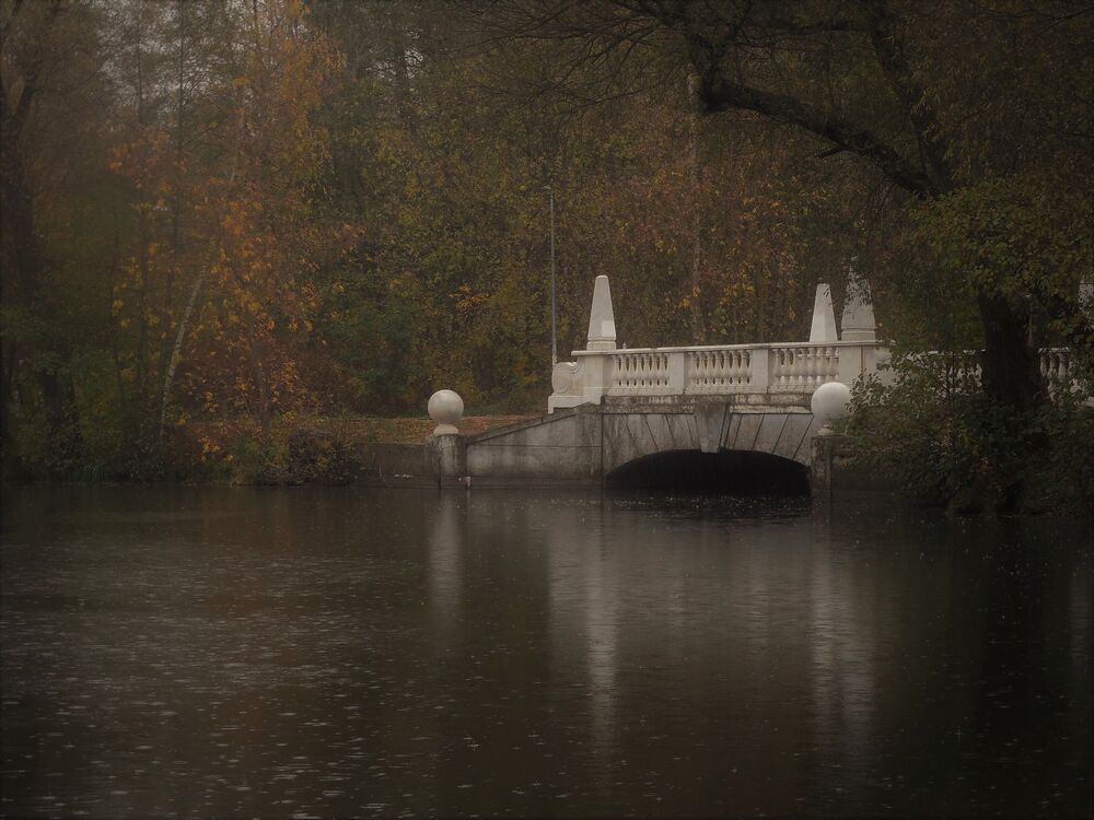 Photograph by IRINA FILIPPOVA