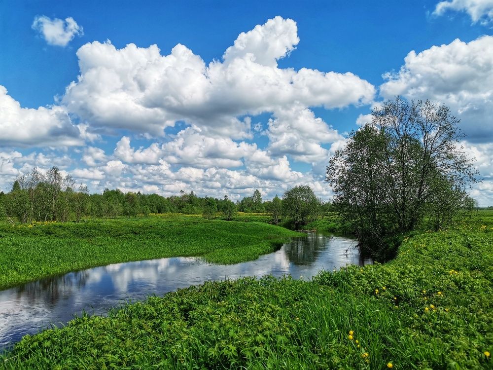 Фотография автора Андрей Шестаков