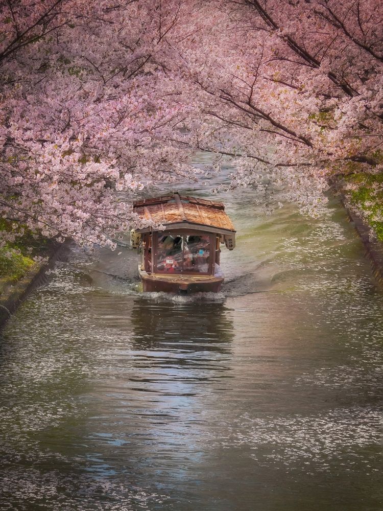 Фотография автора Henri Fitriadi