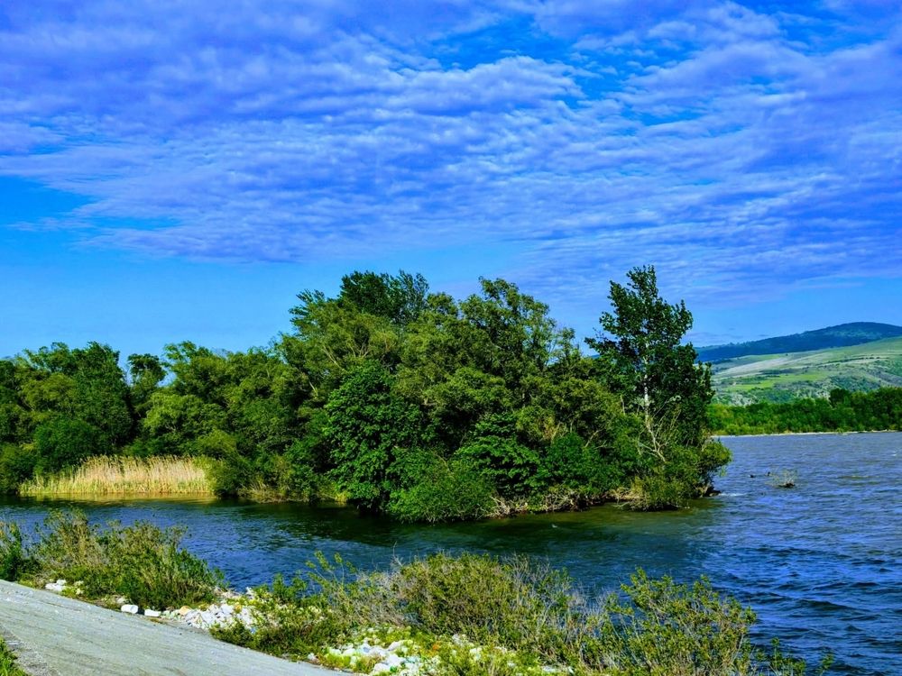 The Danube River