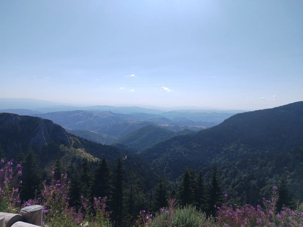 Kopaonik Mountain