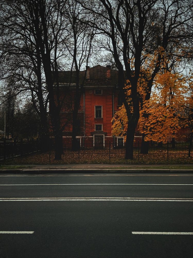 Photograph by Никита Новиков